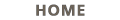 home button